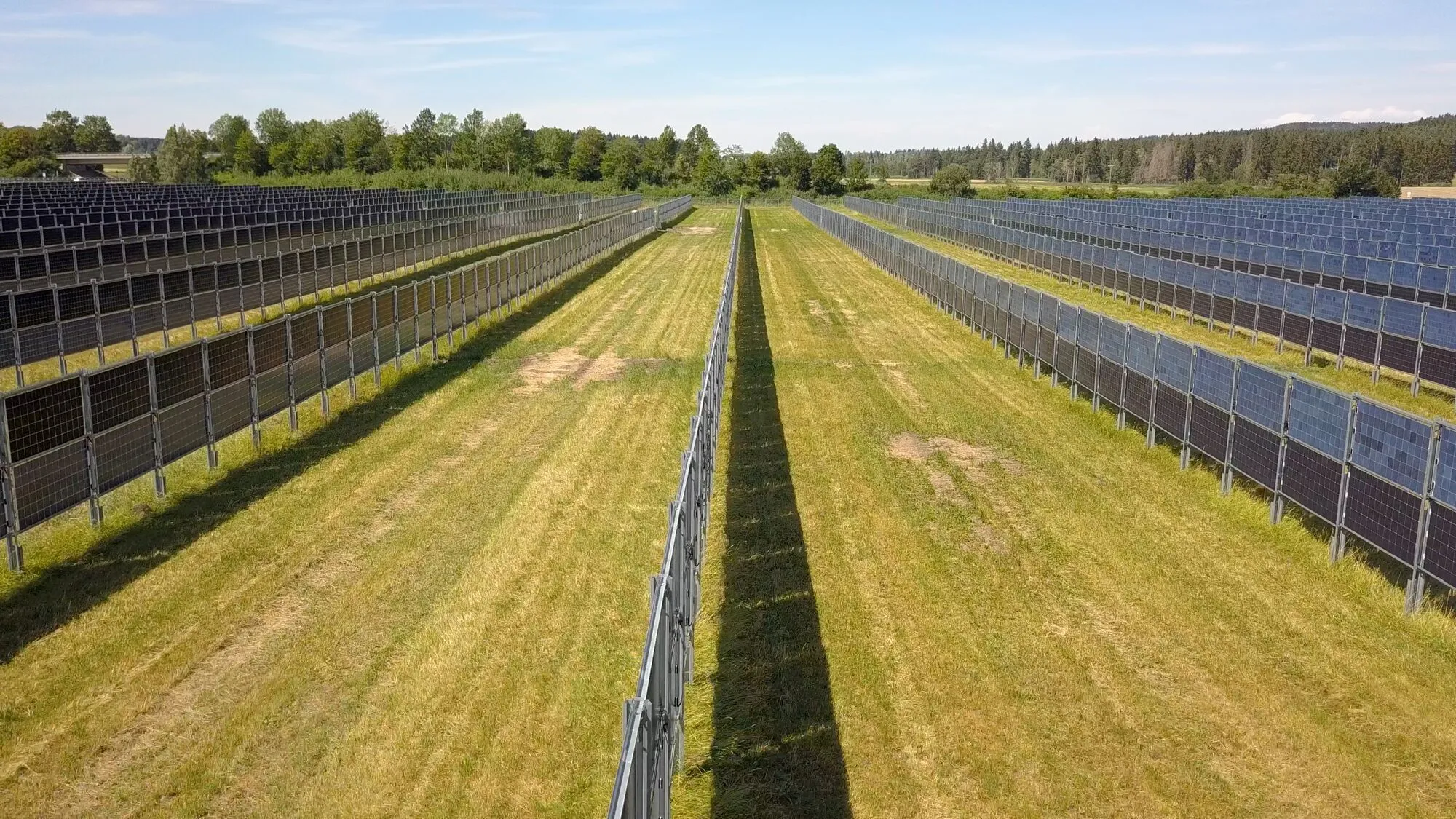 Aerial view of long walls of upright solar panels running across green farmland, with wide strips of grass between them.