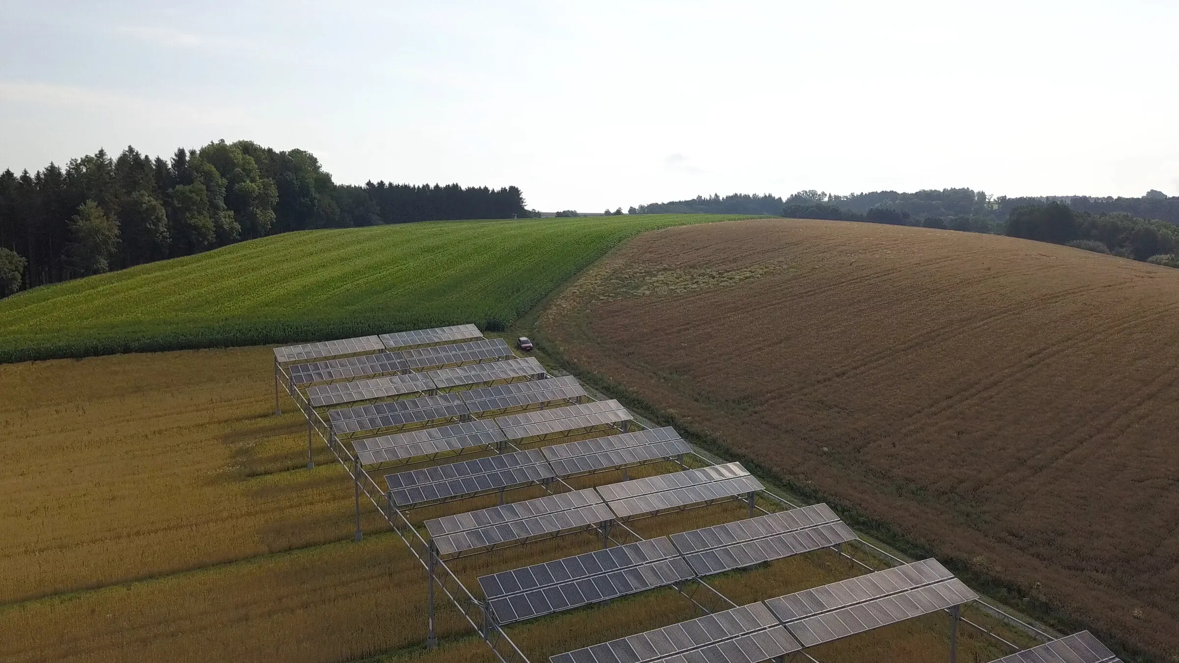 Aerial view of rows of solar panels on tall steel supports over a cereal field at Heggelbach, Germany, with woods and green hills behind.