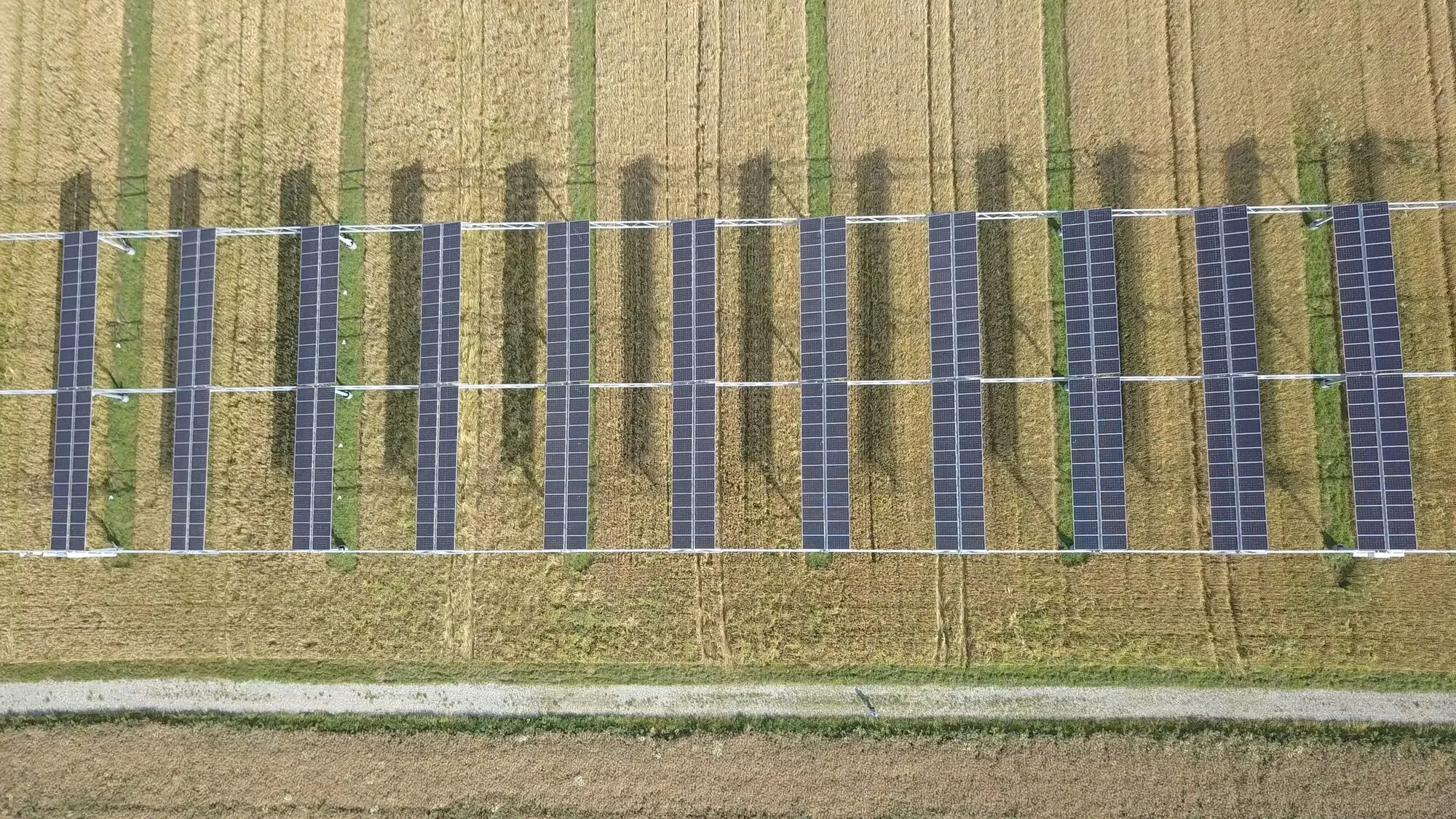 Heggelbach seen from directly above: rows of dark panels on a light frame over a golden cereal field, each row casting a long dark shadow on the crop beside it.