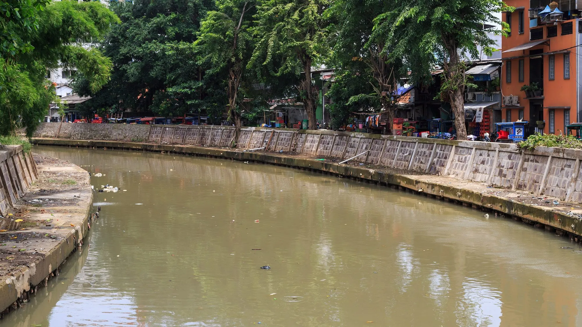 The brown water of the Ciliwung River running between concrete banks, trees and houses in central Jakarta.