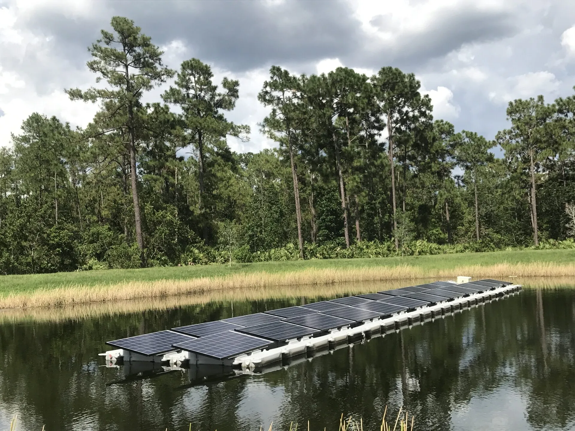 A short row of solar panels on floats on a small pond, with tall grass in front and pine trees behind.