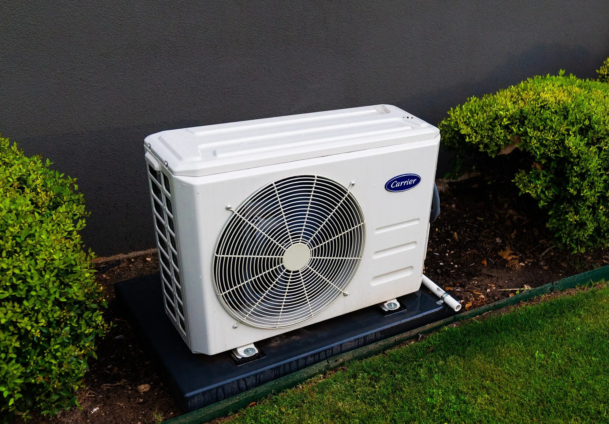 The white outdoor unit of a heat pump with a round fan, standing on a pad among shrubs.