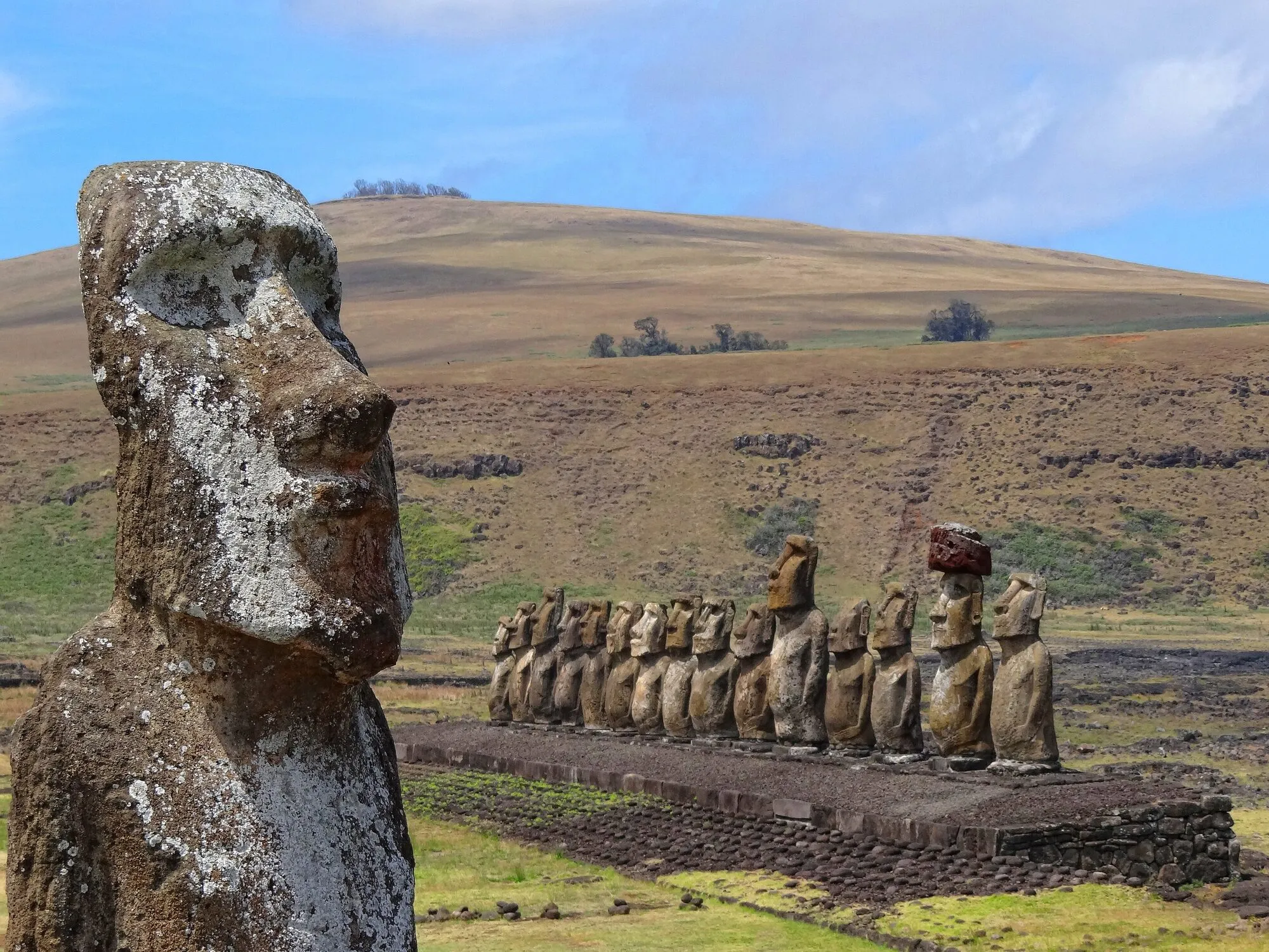 Una fila de quinze grans estàtues de pedra sobre una llarga plataforma de pedra en un turó verd, amb una única estàtua envellida que es troba sola al primer pla.