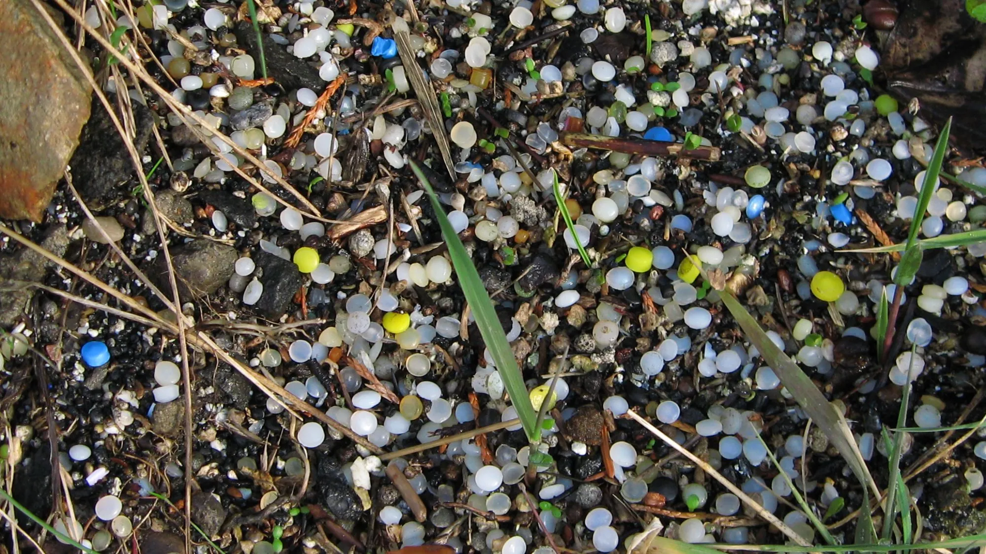 Yüzlerçe kiçi ak, mawy we sary plastik pelletler bir kenarda agaçlaryň arasyna ýaýrady.