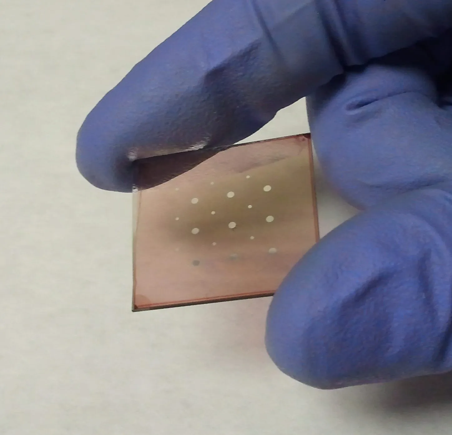 A gloved hand holding a small square of tinted, see-through glass with a dozen tiny round solar cells on it.
