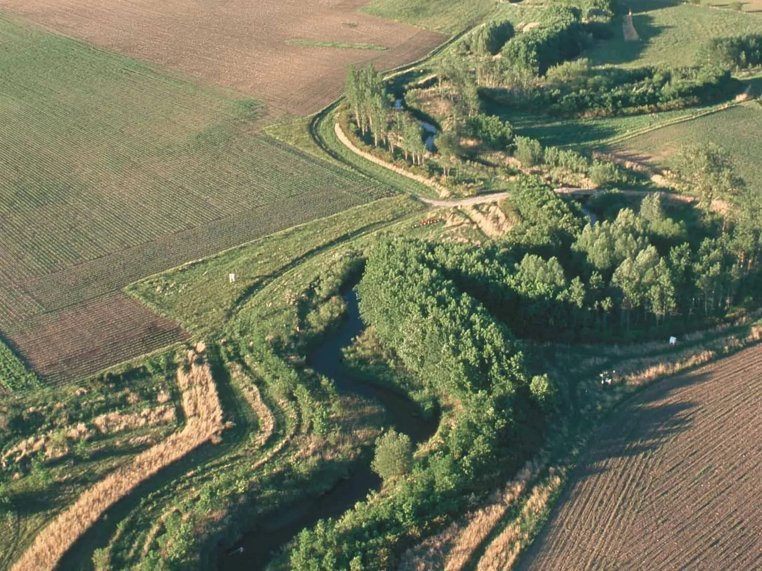 Vista aèria d'un rierol sinuós vorejat per una ampla franja d'arbres i herba entre camps arats a Iowa.