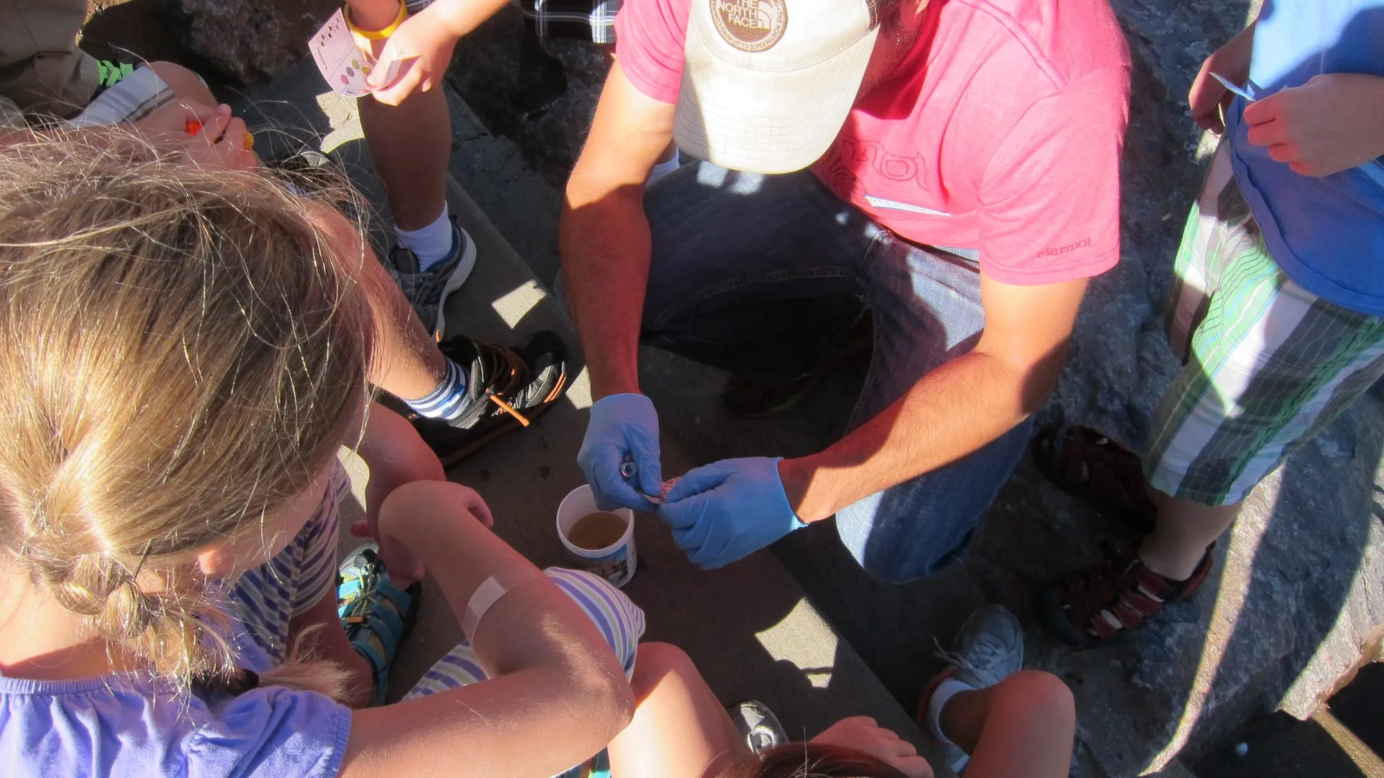 Voluntaris adults i nens agafats a les roques al costat d'un riu, omplint tasses petites amb aigua del riu per fer un kit de proves.